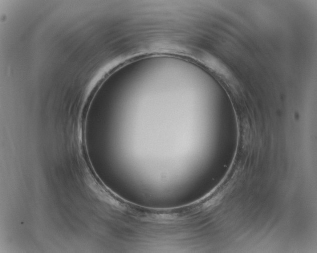 X0000062151280200512091305