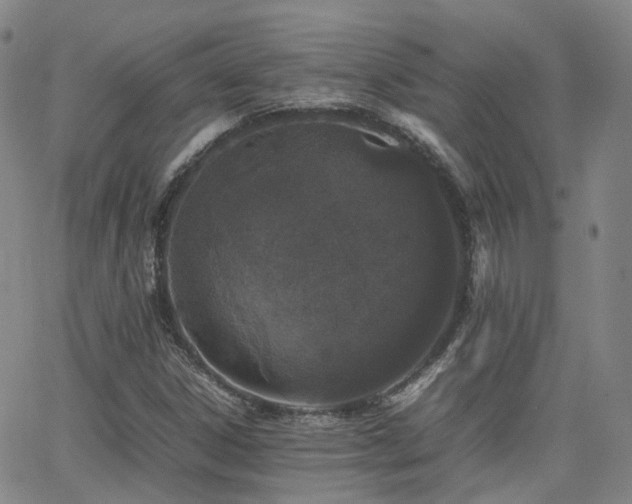 X0000062151306200512091304