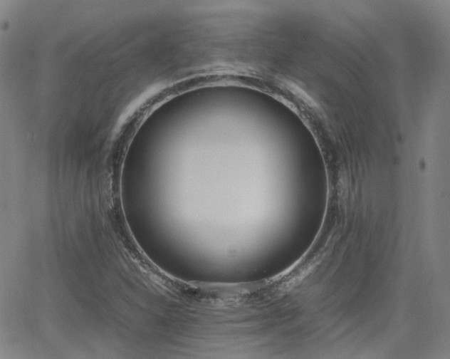 X0000062151310200512091304