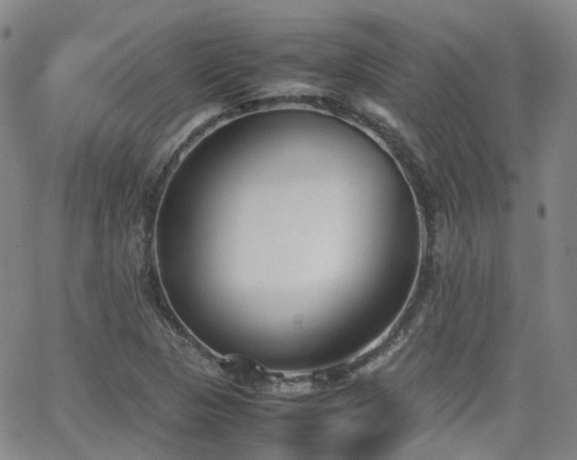 X0000062151313200512091304