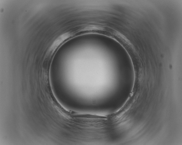 X0000062151321200512091304