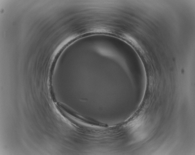 X0000062151331200512091305