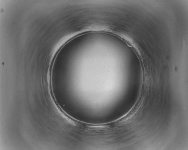 X0000062151343200512091305