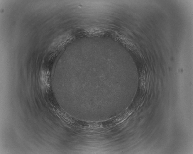 X0000062151346200512091304