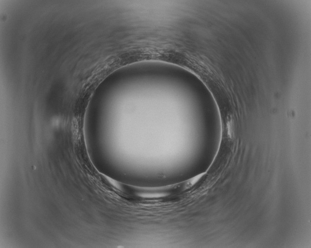 X0000062151347200512091304