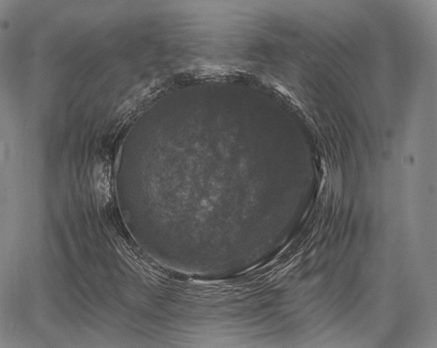 X0000062151348200512091304
