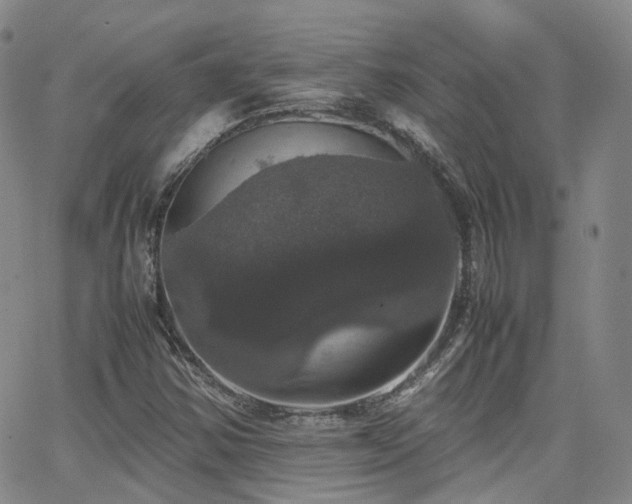 X0000062151354200512091304