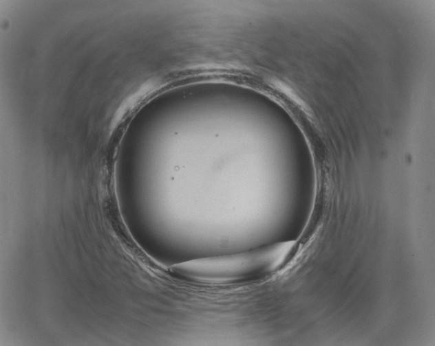 X0000062151357200512091304