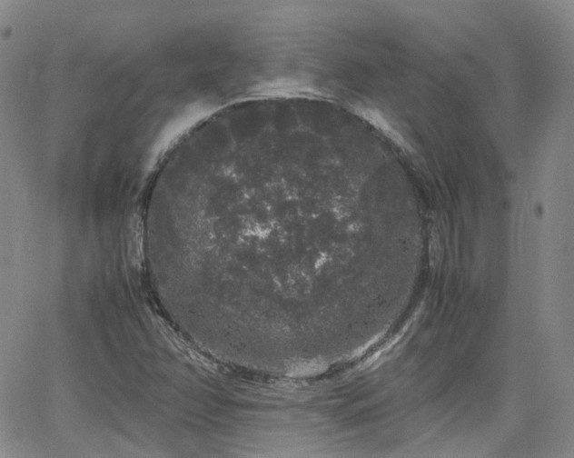 X0000062151358200512091304