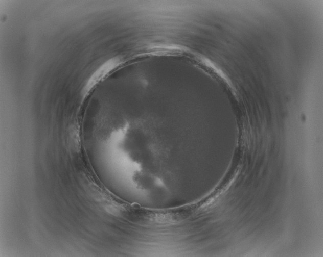 X0000062151362200512091304
