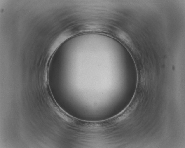 X0000062151370200512091304