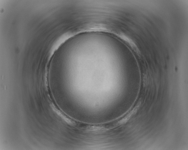 X0000062151374200512091304