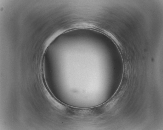 X0000062151387200512091303