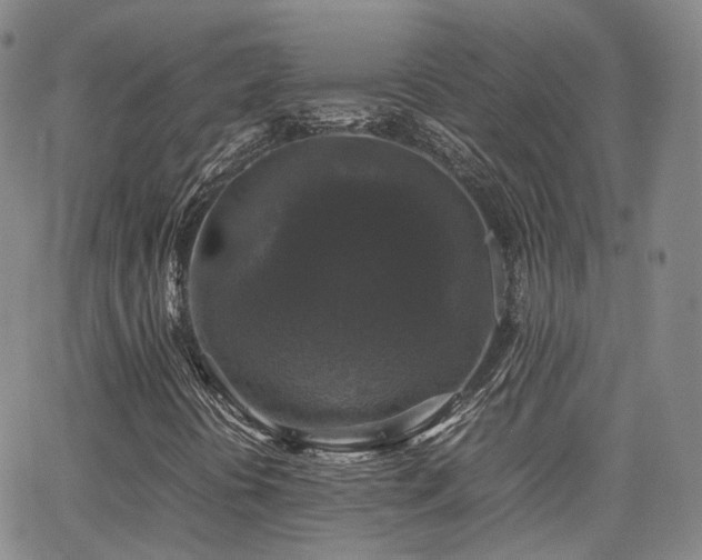 X0000062151394200512091302