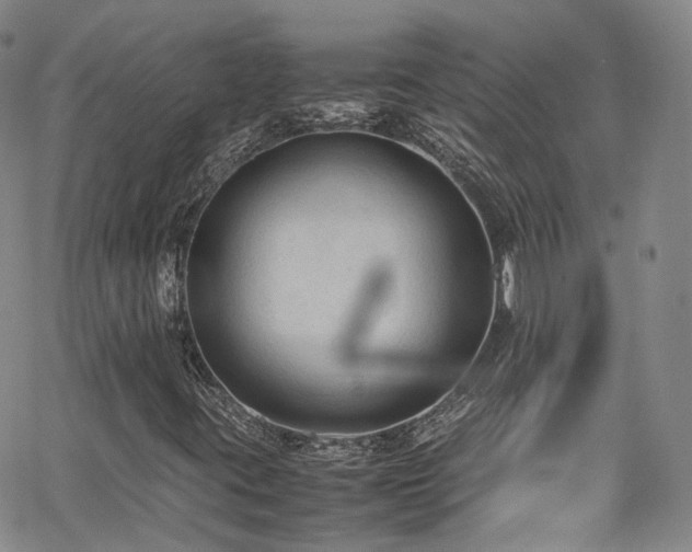 X0000062151395200512091302