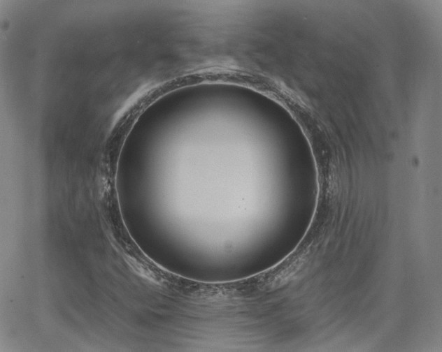 X0000062151400200512091303