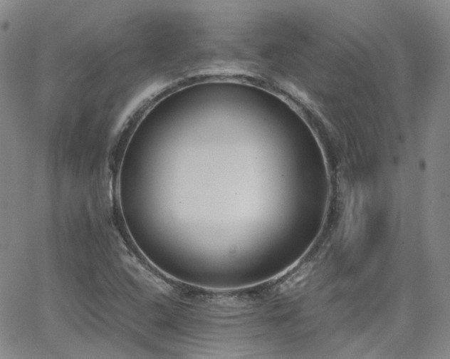 X0000062151408200512091303