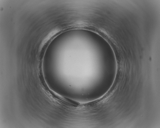 X0000062151410200512091303