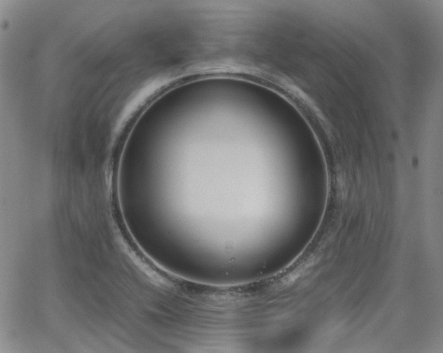 X0000062151416200512091303