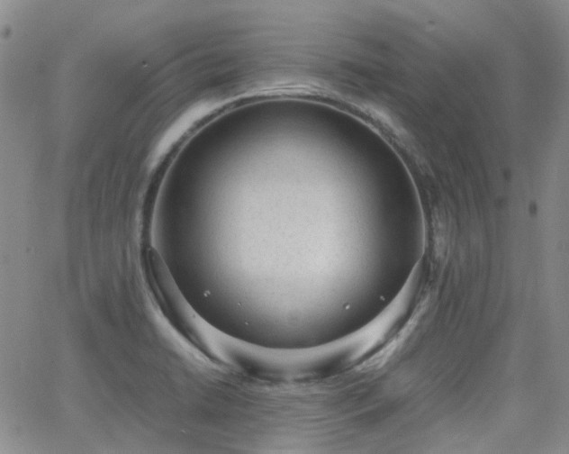 X0000062151422200512091303