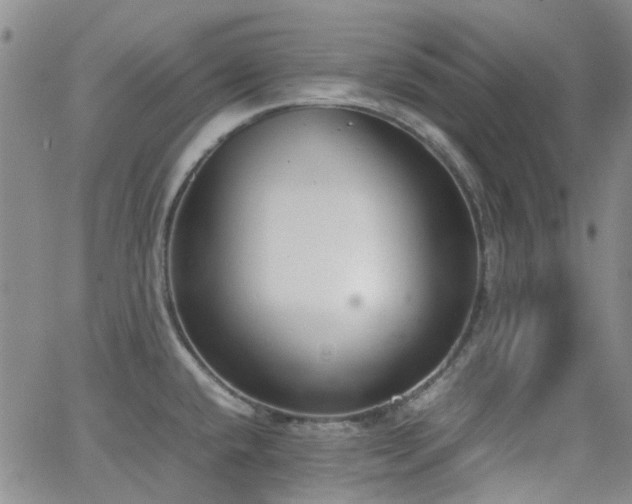 X0000062151432200512091303