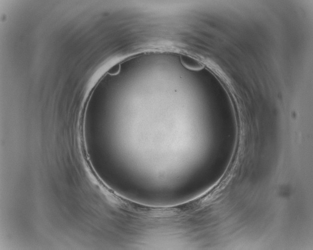 X0000062151440200512091303