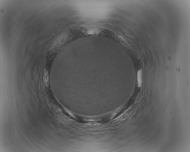X0000062151443200512091302