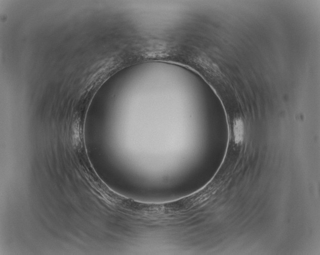 X0000062151444200512091302