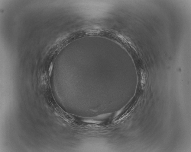 X0000062151445200512091302