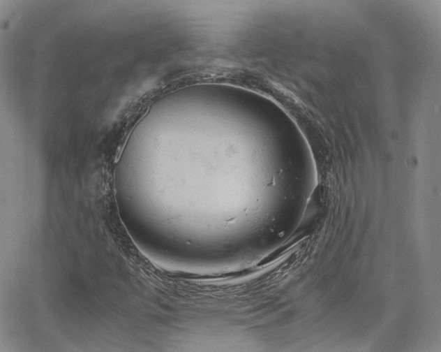 X0000062151447200512091302
