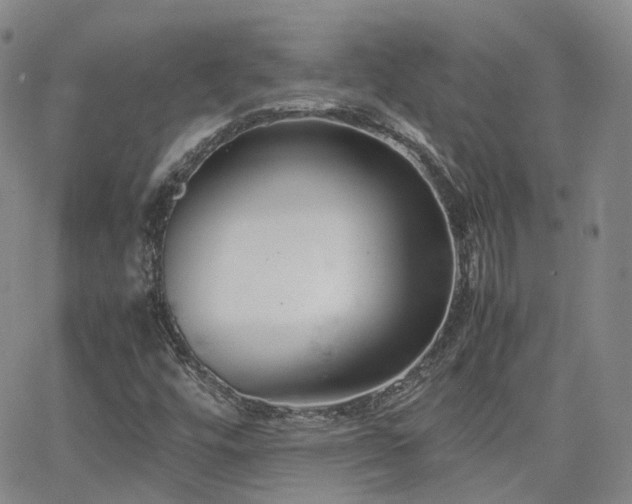 X0000062151448200512091302