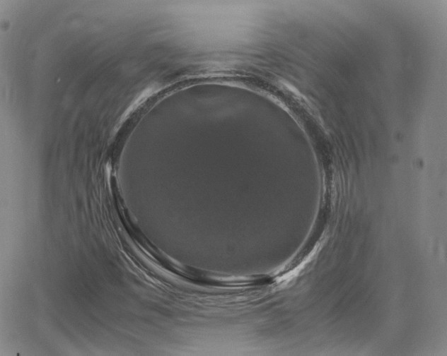 X0000062151449200512091302