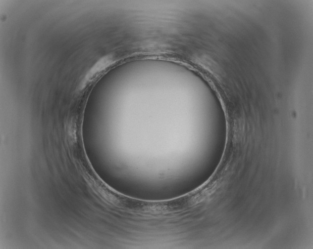 X0000062151451200512091302