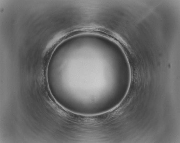 X0000062151456200512091302