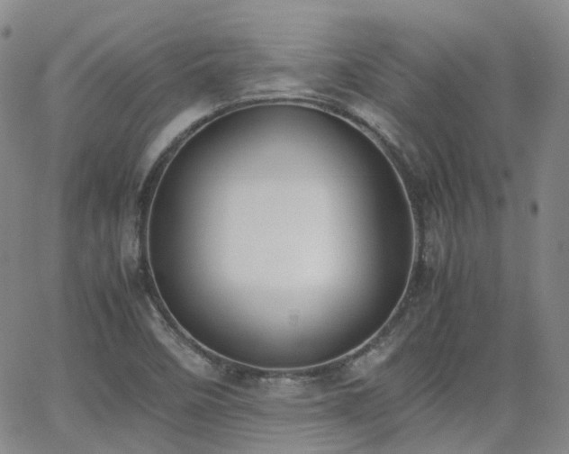 X0000062151458200512091302