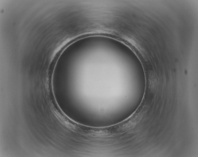 X0000062151460200512091302