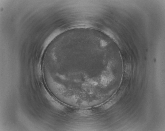 X0000062151466200512091302