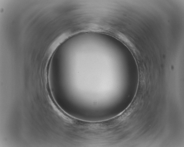 X0000062151479200512091302