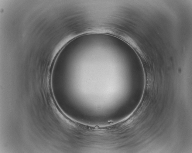 X0000062151484200512091302