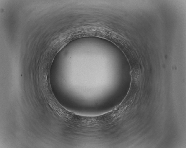 X0000062151489200512091301