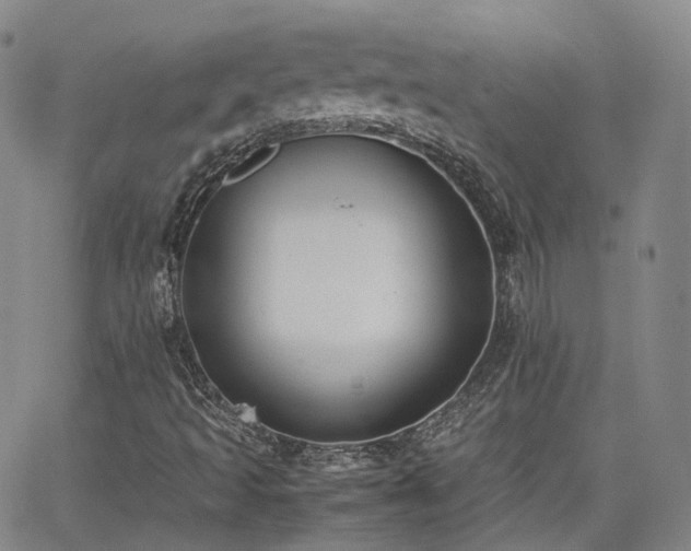 X0000062151493200512091301
