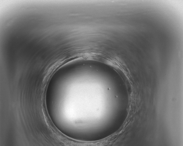 X0000062150001200512121320