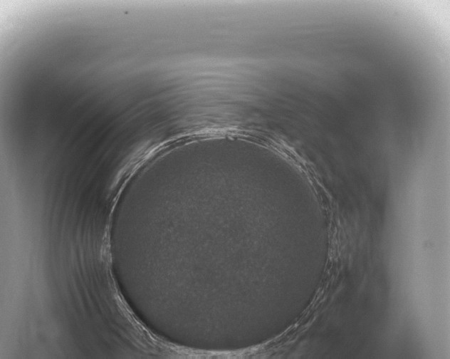 X0000062150002200512121320