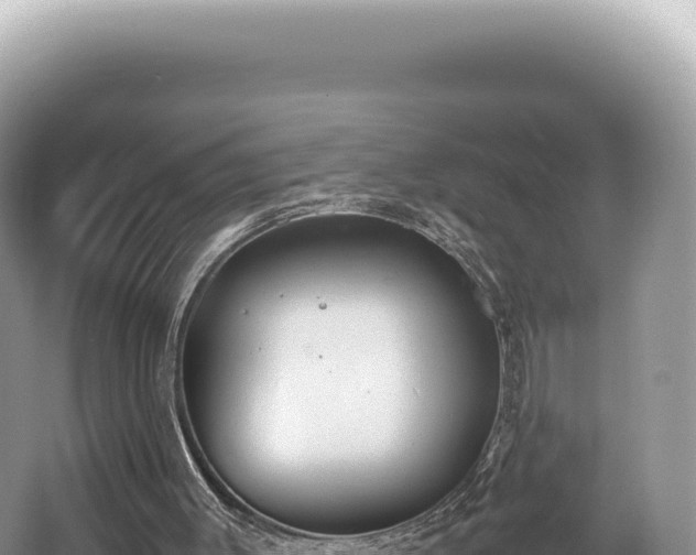 X0000062150003200512121320