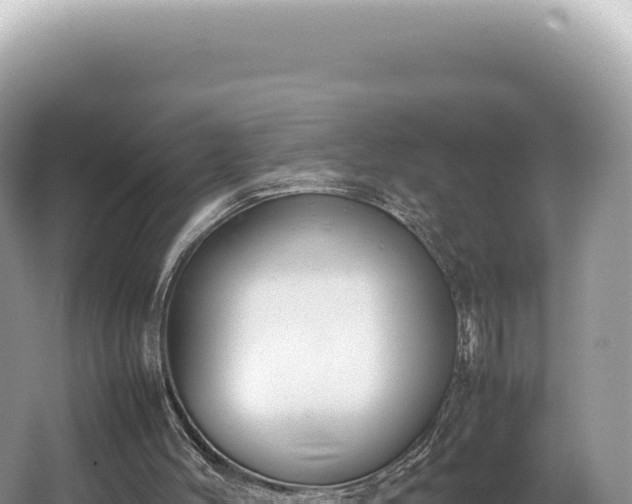 X0000062150004200512121320