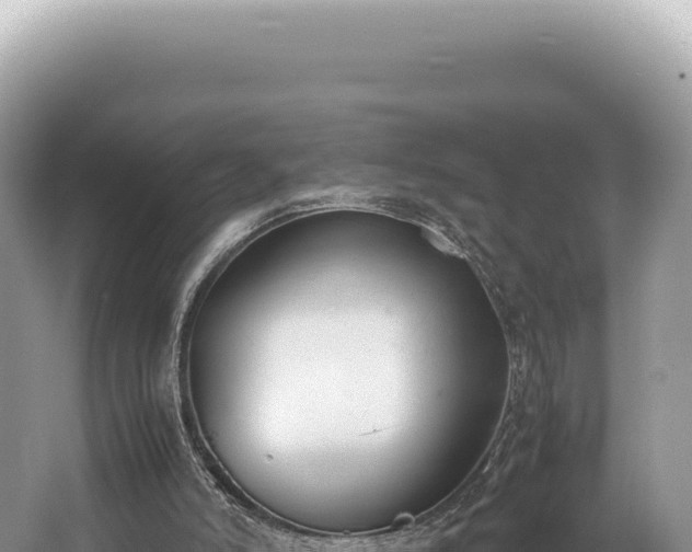 X0000062150006200512121320