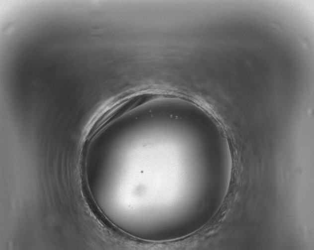 X0000062150007200512121320