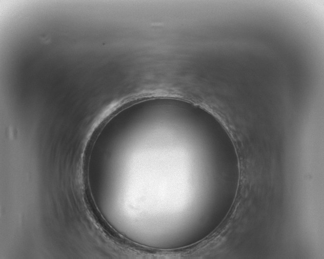 X0000062150008200512121320