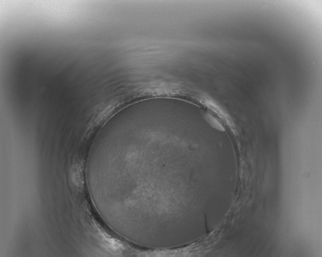 X0000062150009200512121320