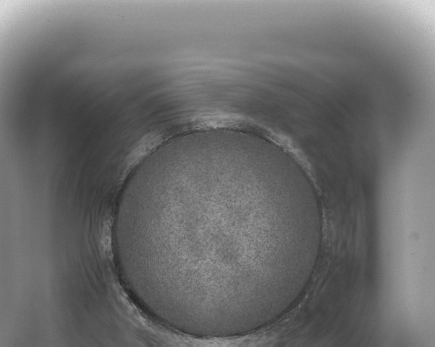 X0000062150010200512121320